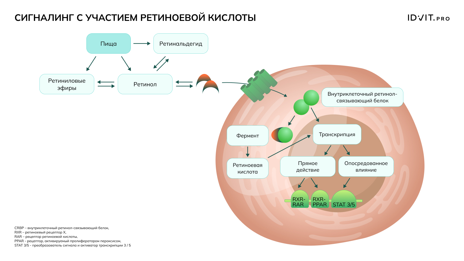 newsCardImg