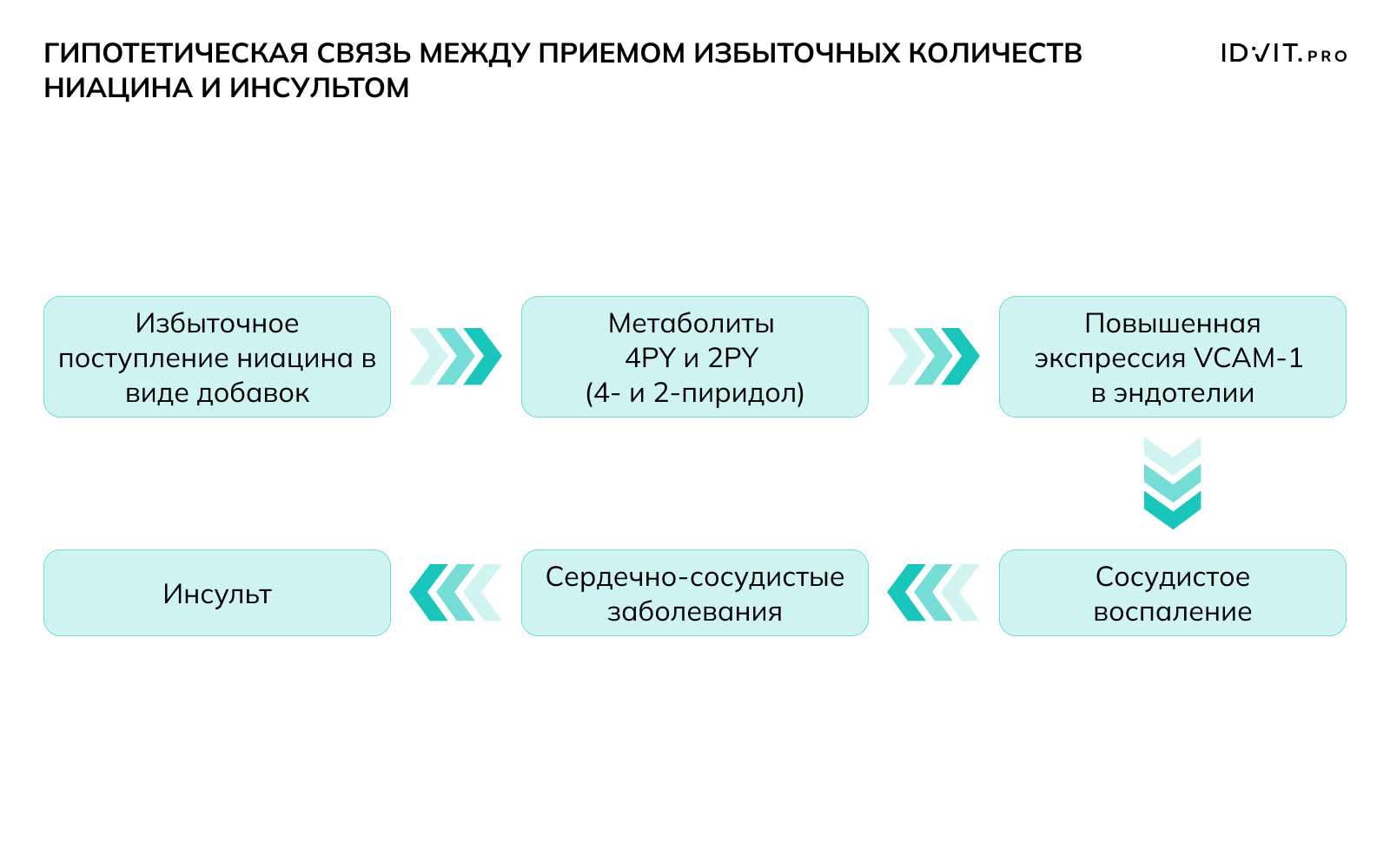newsCardImg
