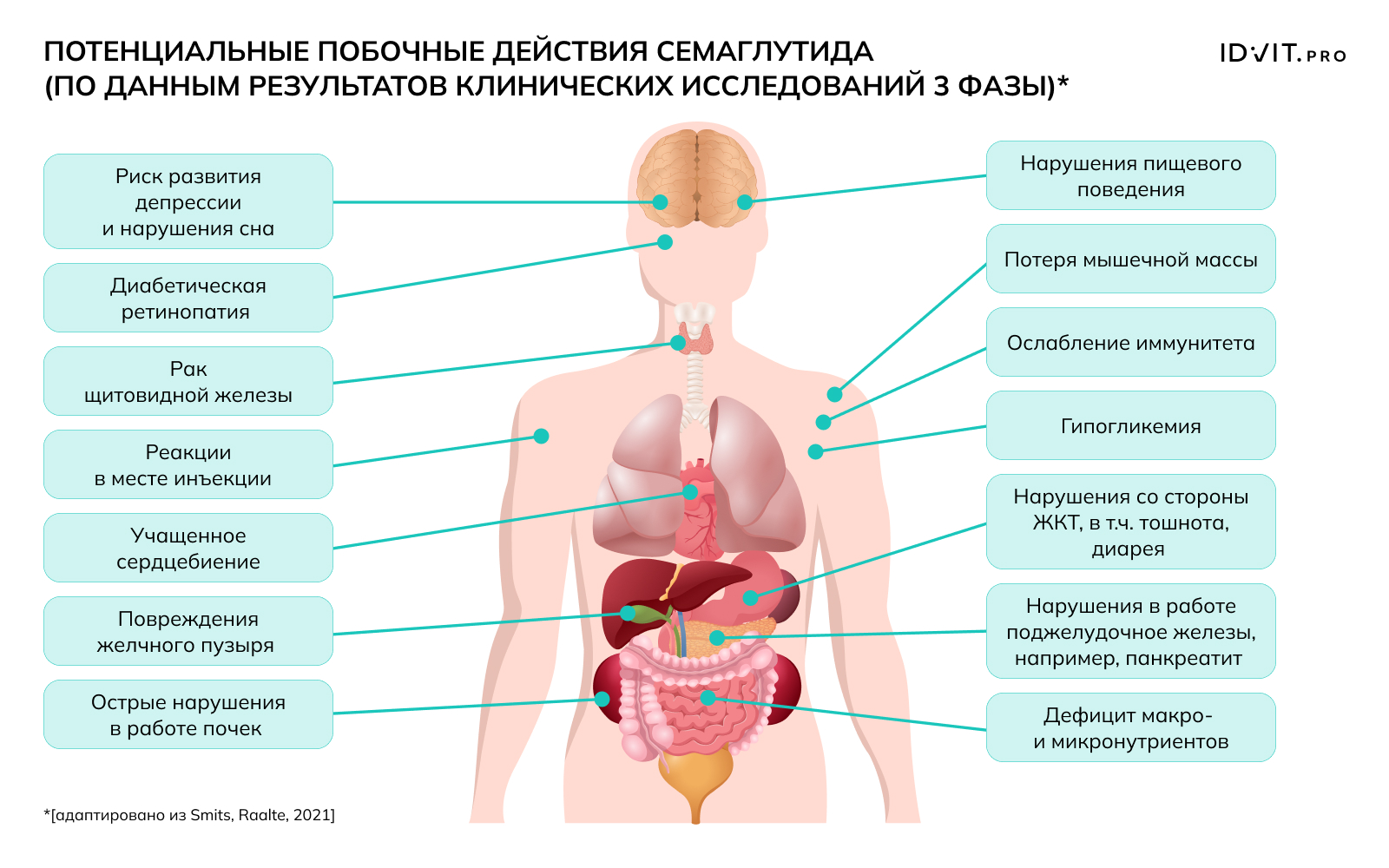 баннер