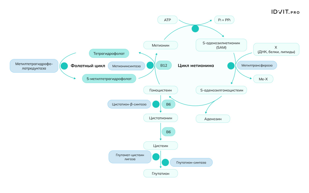 Рисунок 6.jpeg Рисунок 6.jpeg
