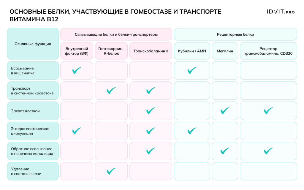 Рисунок 4.jpeg Рисунок 4.jpeg